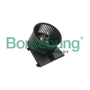 B14593 Borsehung