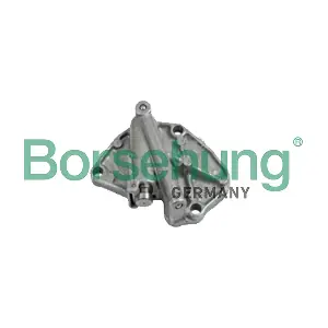 Borsehung B1T001
