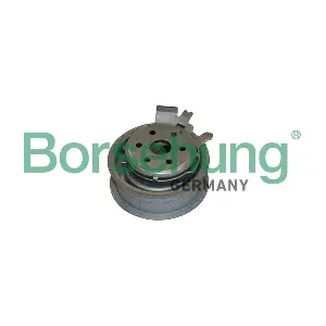 B12231 Borsehung