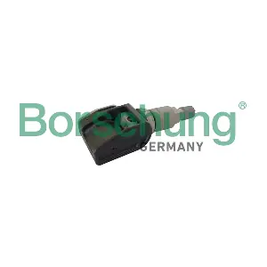 B11874 Borsehung