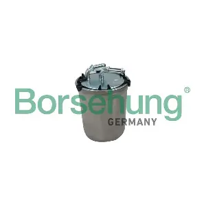 Borsehung B12364