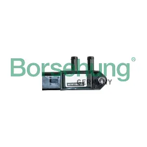 B11879 Borsehung