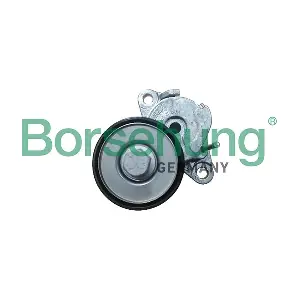 B13081 Borsehung