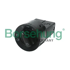 B11402 Borsehung