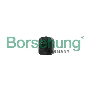 B18881 Borsehung