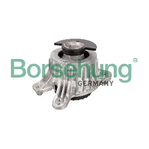 B12646 Borsehung