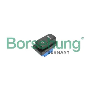 B18889 Borsehung