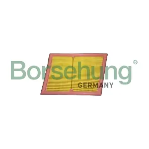 B12439 Borsehung