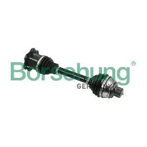 B18369 Borsehung