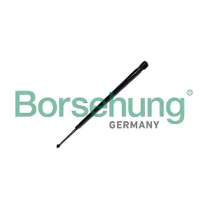 B12061 Borsehung