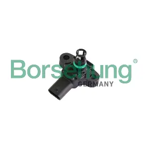B11876 Borsehung