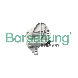 B18298 Borsehung