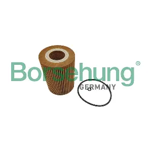 B10467 Borsehung