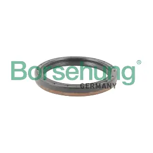 B12198 Borsehung
