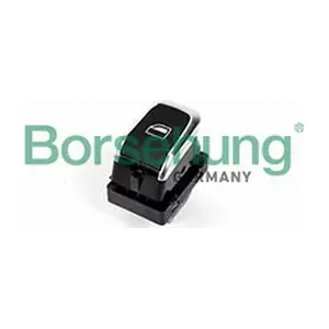 B18596 Borsehung