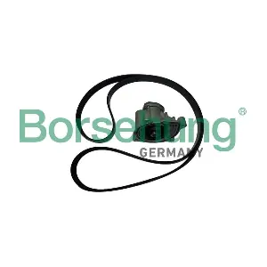 Borsehung B11215