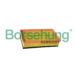 B12218 Borsehung