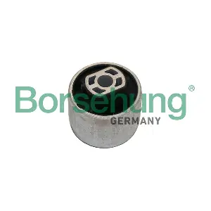 B19064 Borsehung