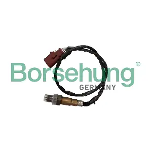 Borsehung B12861