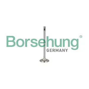 Borsehung B10349