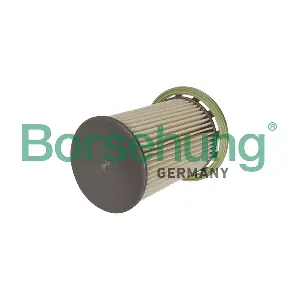 B10525 Borsehung