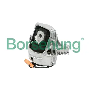 B18218 Borsehung