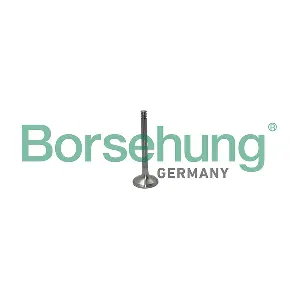 B19012 Borsehung