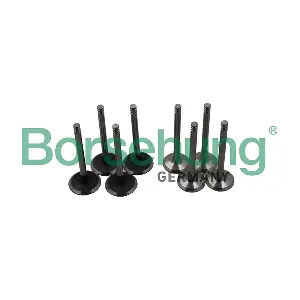 B18640 Borsehung
