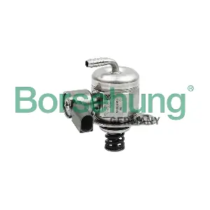 B13662 Borsehung