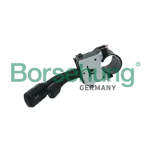 B17953 Borsehung