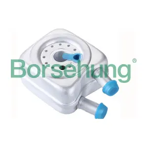 B14506 Borsehung