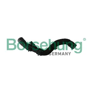 B11965 Borsehung