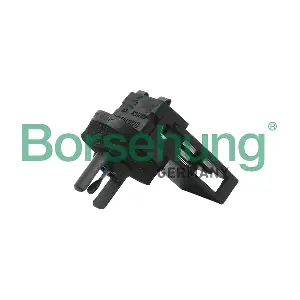 B11446 Borsehung