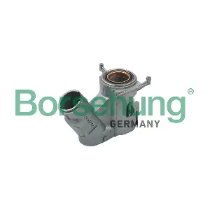 B17982 Borsehung