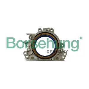B12177 Borsehung