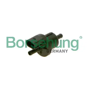 B12932 Borsehung