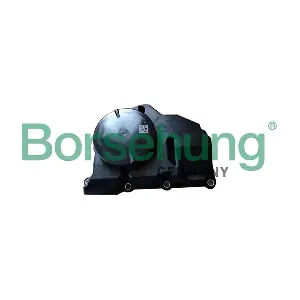 B11920 Borsehung