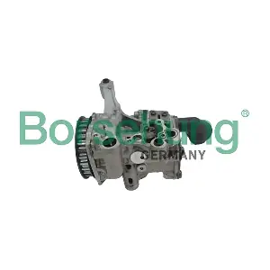 B13121 Borsehung