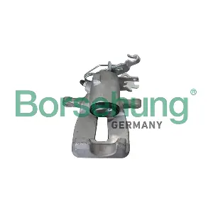 Borsehung B11681