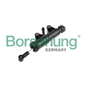 B10926 Borsehung