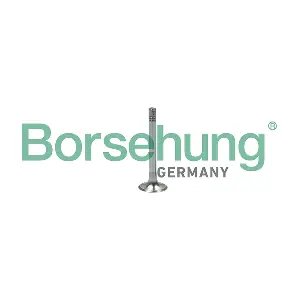 Borsehung B18999