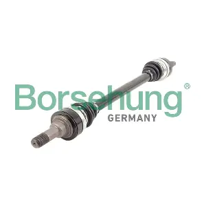 Borsehung B12491
