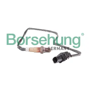 Borsehung B18923