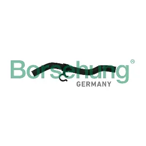 B11975 Borsehung