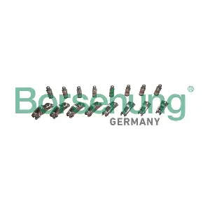 Borsehung B10284
