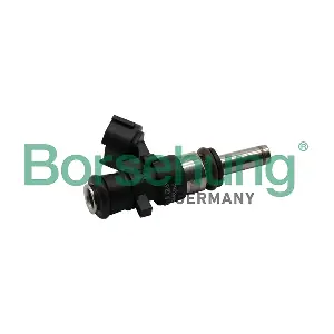 B11157 Borsehung