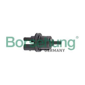 B12317 Borsehung