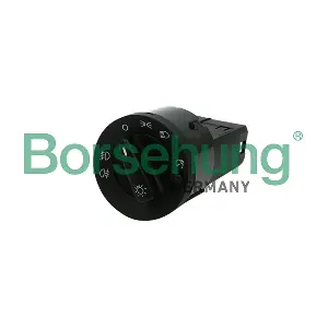 B17997 Borsehung