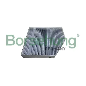 B12449 Borsehung