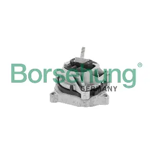 B12906 Borsehung